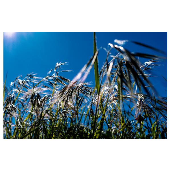 PHOTO84, CLUB, 84 , LUBERON